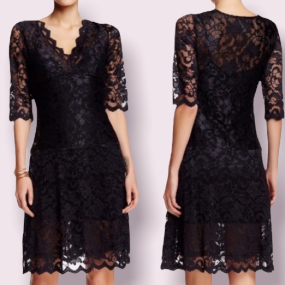 Vertigo Paris Sheer Black Lace Dress